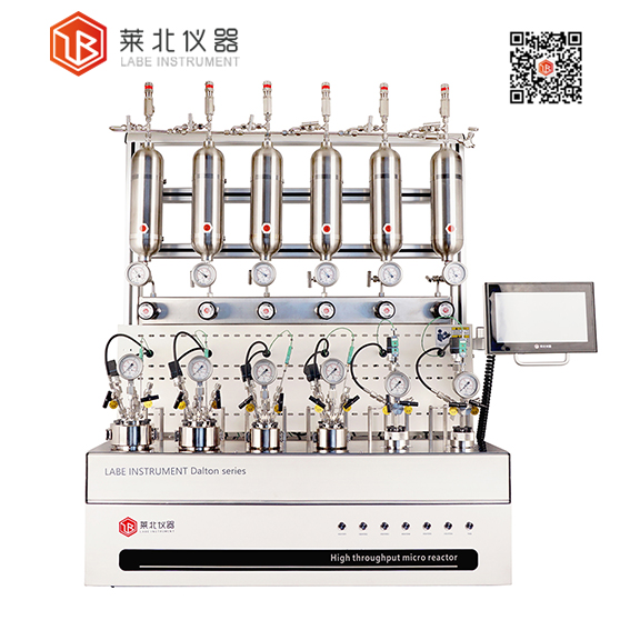 Dalton6-N 加氫平行反應器.jpg